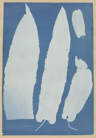 s_blueprint_1